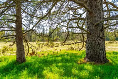 0 Fiske Road, Coulterville, CA 95311 - Photo 3