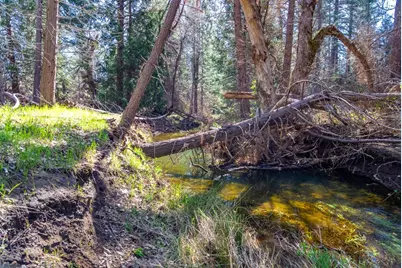 0 Fiske Road, Coulterville, CA 95311 - Photo 13