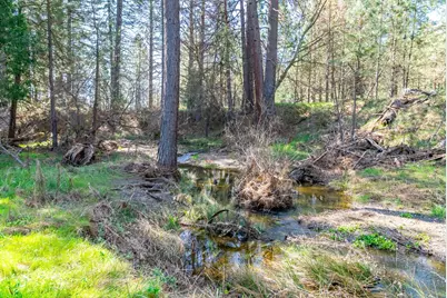 0 Fiske Road, Coulterville, CA 95311 - Photo 15