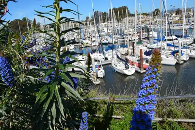 220 Atlantic Avenue #204, Santa Cruz, CA 95062 - Photo 49
