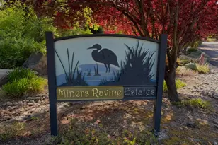 9260 Miners Crossing, Loomis, CA 95650 - Photo 69