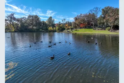 9260 Miners Xing, Loomis, CA 95650 - Photo 65