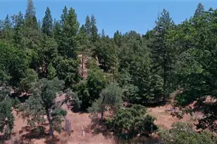 5695 Donkey, Coulterville, CA 95311 - Photo 17