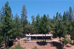 5695 Donkey, Coulterville, CA 95311 - Photo 19