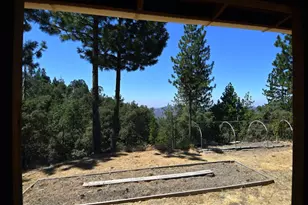 5695 Donkey, Coulterville, CA 95311 - Photo 41