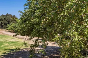 9337 Creekside Ln, Modesto, CA 95357 - Photo 27