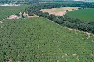 9337 Creekside Ln, Modesto, CA 95357 - Photo 29