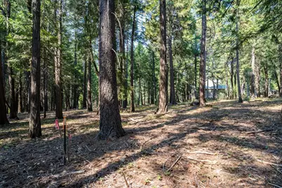 13518 Quaker Hill Cross Road, Nevada City, CA 95959 - Photo 21