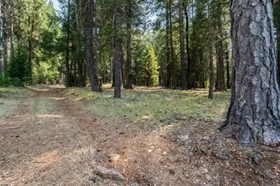 13518 Quaker Hill Cross Road, Nevada City, CA 95959 - Photo 5