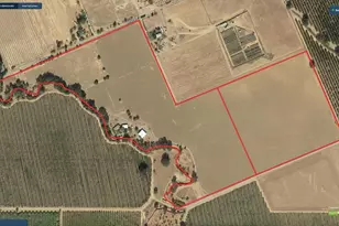 15655 County Rd 45, Guinda, CA 95637 - Photo 23