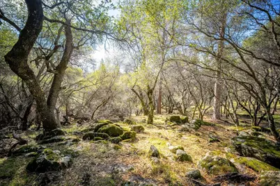 13936 Oak Ridge Road, Penn Valley, CA 95946 - Photo 57