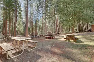 77 Kirkwood Way, Clipper Mills, CA 95930 - Photo 31