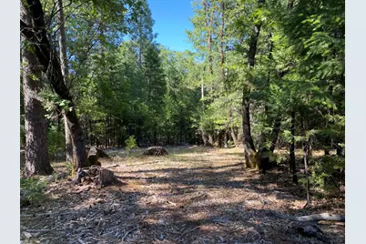 12595 Blackberry Trail, Grass Valley, CA 95945 - Photo 3