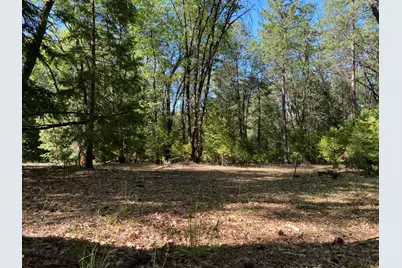 12595 Blackberry Trail, Grass Valley, CA 95945 - Photo 1