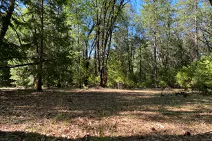12595 Blackberry Trail, Grass Valley, CA 95945 - Photo 1