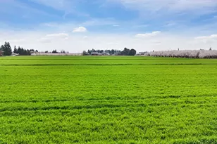 3620 E Monte Vista Ave, Denair, CA 95316 - Photo 27