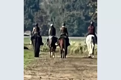 24130 County Road 101A, Davis, CA 95616 - Photo 65