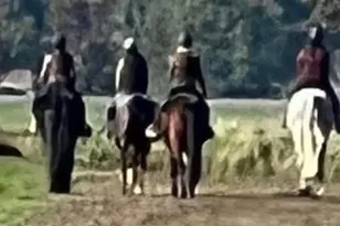 24130 Co Rd 101A, Davis, CA 95616 - Photo 65