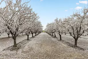 24130 Co Rd 101A, Davis, CA 95616 - Photo 11