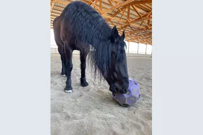 24130 County Road 101A, Davis, CA 95616 - Photo 63