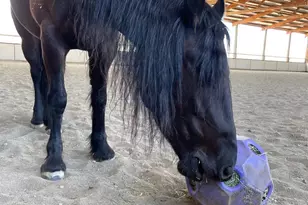 24130 Co Rd 101A, Davis, CA 95616 - Photo 63