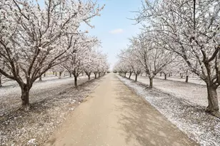 24130 Co Rd 101A, Davis, CA 95616 - Photo 59