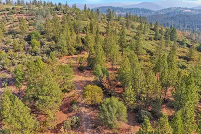 13742 Jeabjo Way, Nevada City, CA 95959 - Photo 41