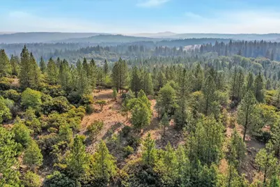 13742 Jeabjo Way, Nevada City, CA 95959 - Photo 45