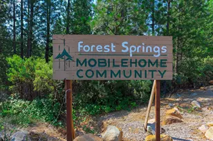 Ryder Ct, Grass Valley, CA 95945 - Photo 3