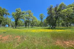 5963 Schilling Rd, Coulterville, CA 95311 - Photo 79