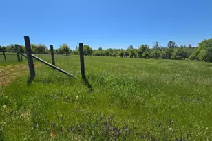 5963 Schilling Rd, Coulterville, CA 95311 - Photo 63