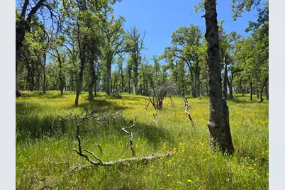 5963 Schilling Road, Coulterville, CA 95311 - Photo 69