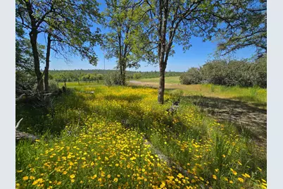 5963 Schilling Road, Coulterville, CA 95311 - Photo 67