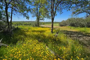 5963 Schilling Rd, Coulterville, CA 95311 - Photo 67