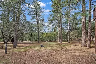 11151 Quail Dr, Pine Grove, CA 95665 - Photo 23