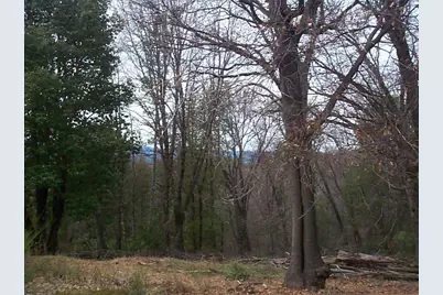 20550 Grizzly Creek Road, North San Juan, CA 95959 - Photo 17