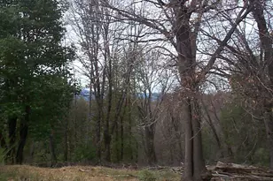 20550 Grizzly Creek Rd, North San Juan, CA 95959 - Photo 17