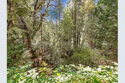 13651 Us-50, Kyburz, CA 95720 - Photo 25