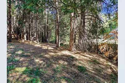 13651 Us-50, Kyburz, CA 95720 - Photo 19