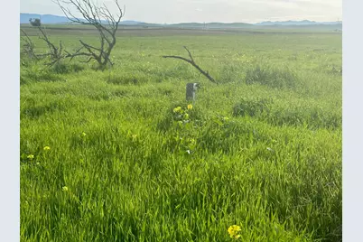 1 Billy Wright Road, Los Banos, CA 93635 - Photo 27