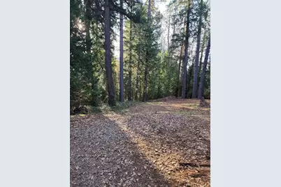 9246 La Porte Road, Brownsville, CA 95919 - Photo 11