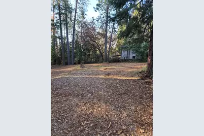 9246 La Porte Road, Brownsville, CA 95919 - Photo 3