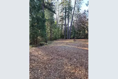 9246 La Porte Road, Brownsville, CA 95919 - Photo 9