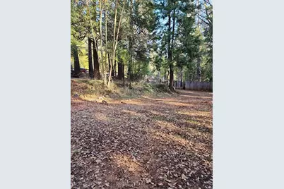 9246 La Porte Road, Brownsville, CA 95919 - Photo 7