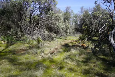 16076 Keson Place, Grass Valley, CA 95949 - Photo 27