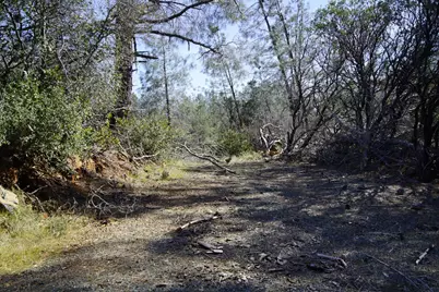 16076 Keson Place, Grass Valley, CA 95949 - Photo 23