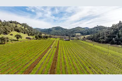 7449 Esmeralda Road, San Andreas, CA 95249 - Photo 5