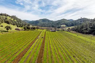 7449 Esmeralda Rd, San Andreas, CA 95249 - Photo 5