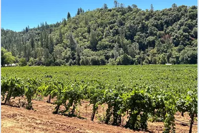 7449 Esmeralda Road, San Andreas, CA 95249 - Photo 7