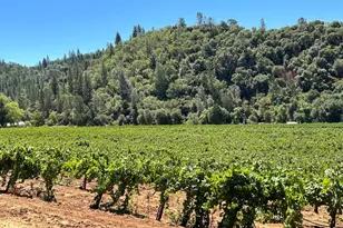 7449 Esmeralda Rd, San Andreas, CA 95249 - Photo 7